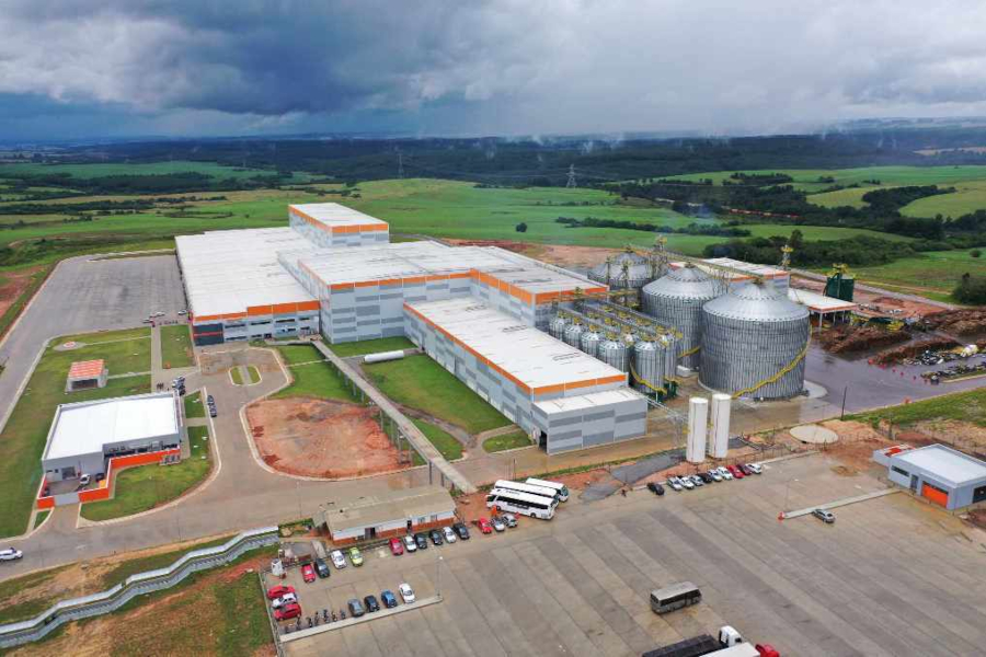 PremieRpet Porto Amazonas